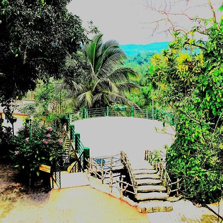 Rainforest Lodge, Deniyaya Singheraja Ngoại thất bức ảnh