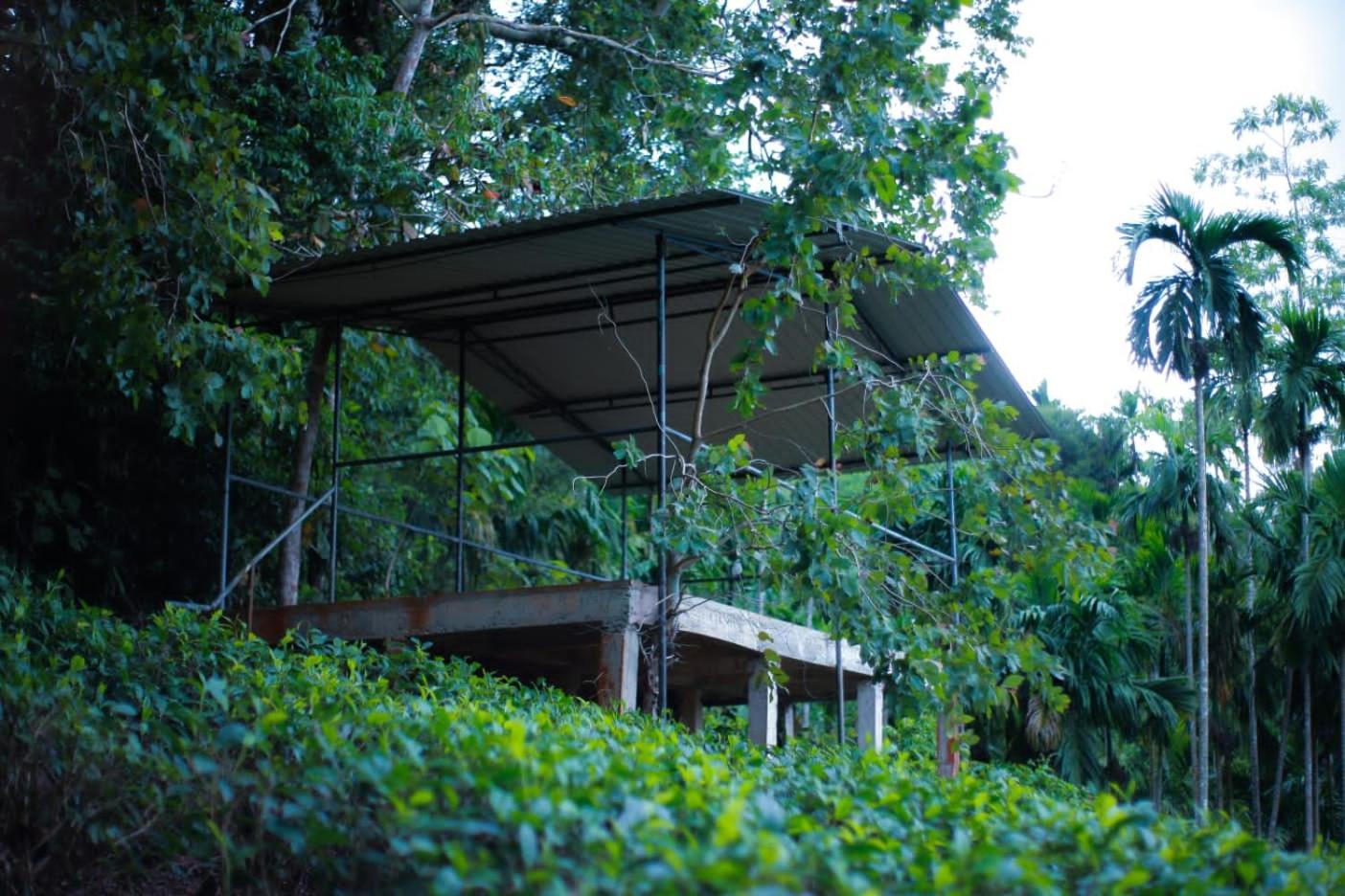 Rainforest Lodge, Deniyaya Singheraja Ngoại thất bức ảnh