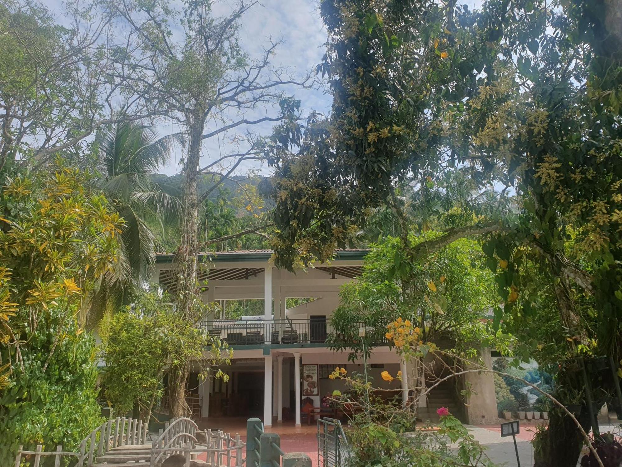 Rainforest Lodge, Deniyaya Singheraja Ngoại thất bức ảnh