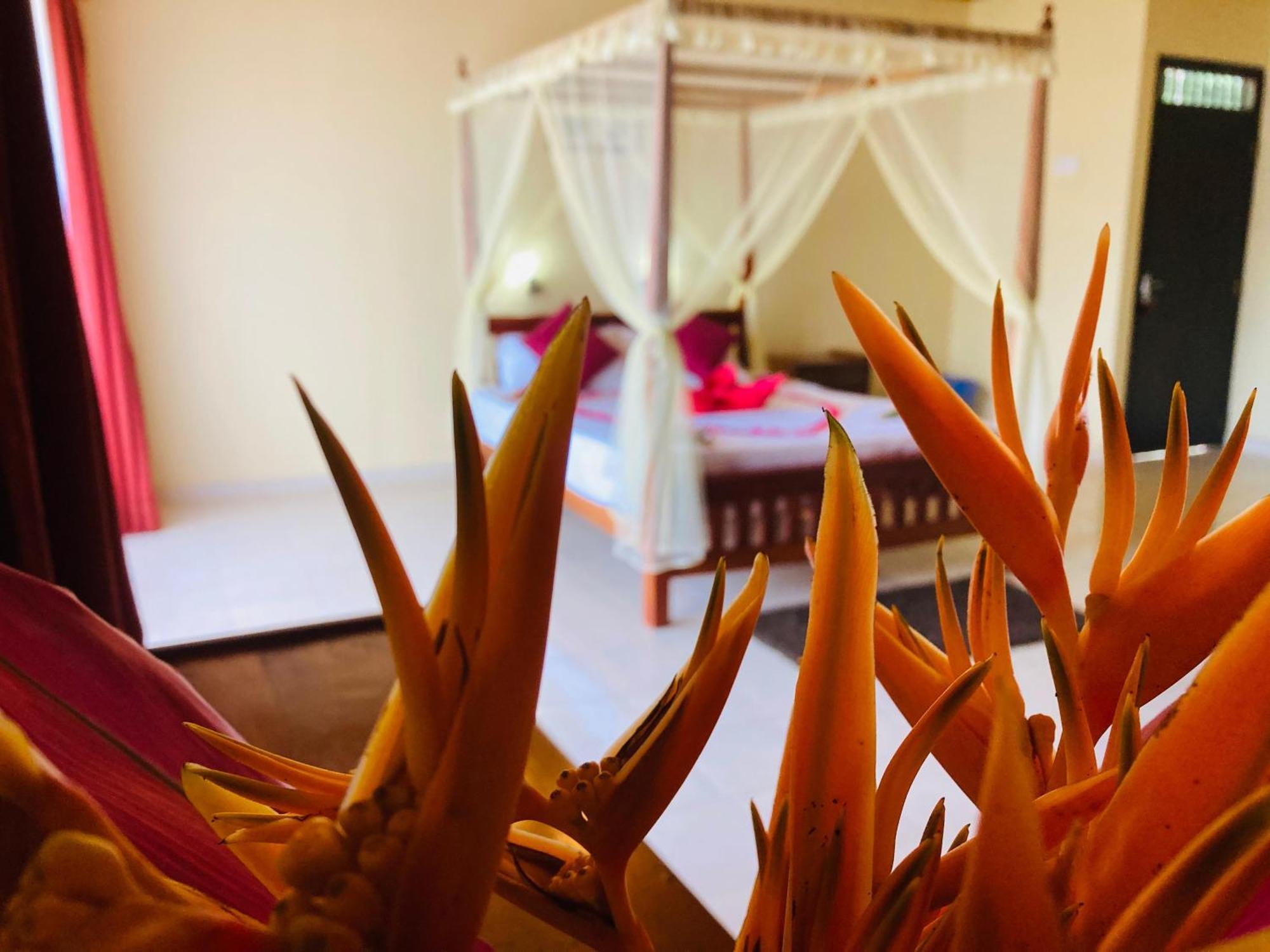 Rainforest Lodge, Deniyaya Singheraja Ngoại thất bức ảnh