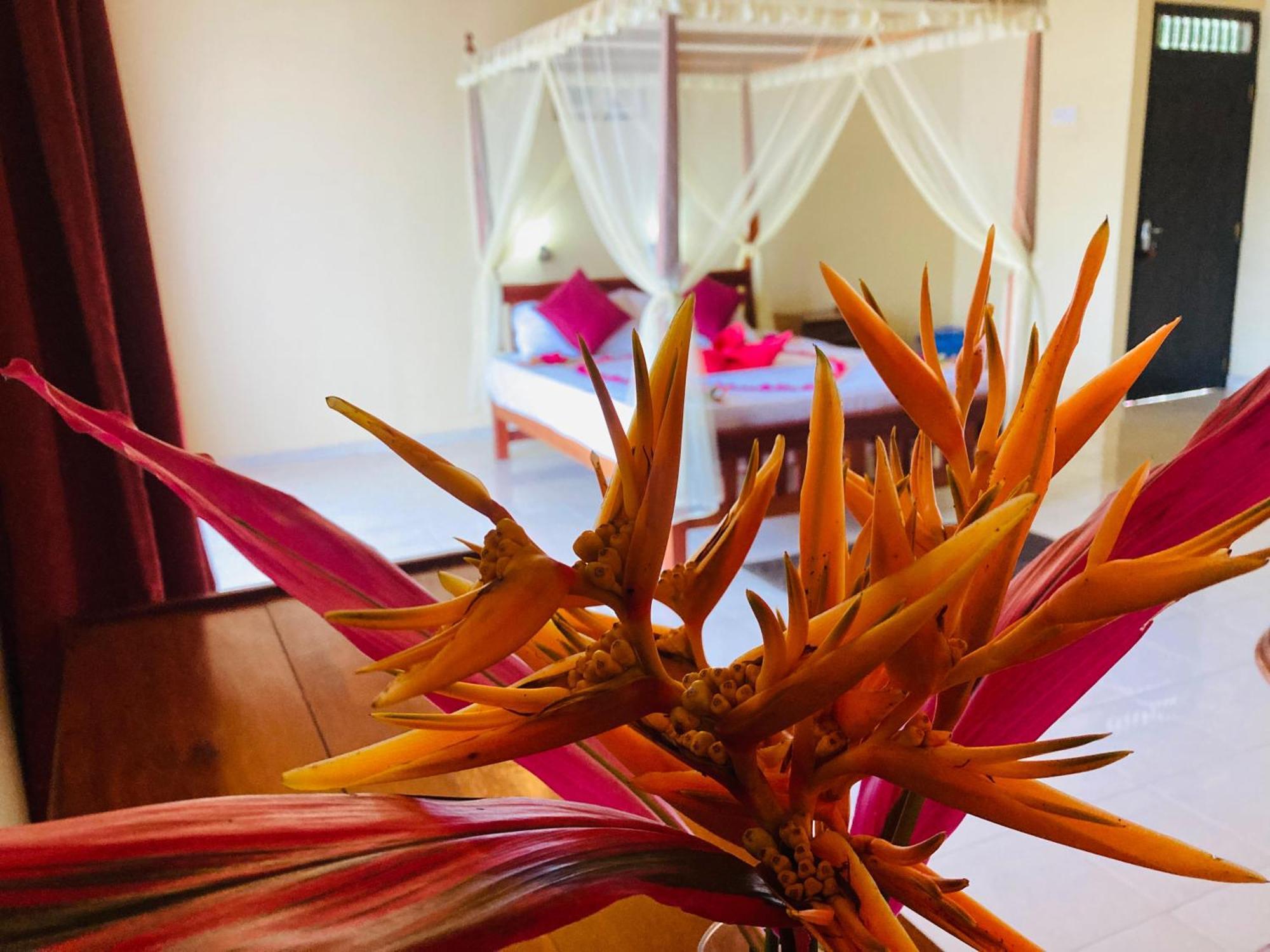 Rainforest Lodge, Deniyaya Singheraja Ngoại thất bức ảnh